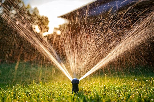 In Lawn Sprinkler