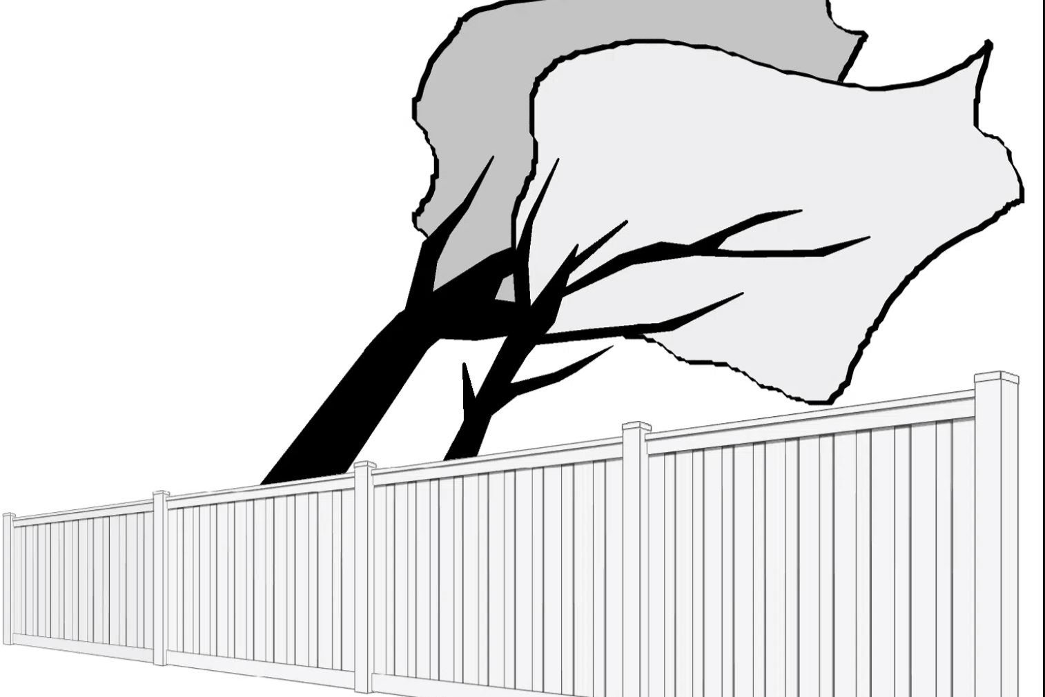 Trees Being Blown By Wind Near A Fence