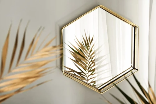 Artful Display Of Plants In Front Of A Mirror Creating Natural Beauty