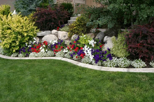 Land Scaping Photo